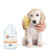 Dog Shampoo Conditioner TNG Worldwide 2in1 Gallon-5