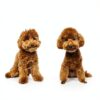 Leo Dog Shampoo and Conditioner for Doodles-2