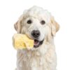 Dog Shampoo Conditioner Cosmos 5X Cleaning Power-4