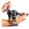 BUGALUGS Dog Shampoo Conditioner for All Breeds-8