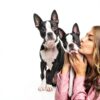 Dog Shampoo Conditioner Bark2Basics 2in1 Silky-3
