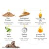 Oatmeal Dog Shampoo by AnyPet International Soothing Herbal Pack 6-3