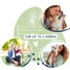 Any Pet Herbal Dog Shampoo Soothing Botanical Formula Pack of 2 or 6-4