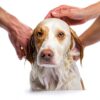 FURminator Dog Shampoo deShedding Formula with OdorCapture 360-5