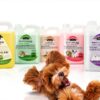 Dog Shampoo Herbal Botanical Soothing Pack of 2 Any Pet-5
