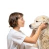 PetAg Fresh n Clean Dog Shampoo & Creme Rinse Bundle 2‑Pack 33.98-4