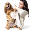 PetAg Fresh n Clean Dog Shampoo & Creme Rinse Bundle 2‑Pack 33.98-2