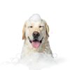 Oatmeal Dog Shampoo by AnyPet International Soothing Herbal Pack 6-1