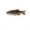 Swimming Creatures 5 PCS Assorted Tropical Fish Freshwater Aquarium-8