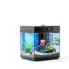 AQQA 3.7 Gallon Aquarium Starter Kit LED Light & 3‑in‑1 Filter Black-2