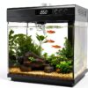AQQA 3.7 Gallon Aquarium Starter Kit LED Light & 3‑in‑1 Filter Black-0