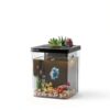 Betta Fish Tank 1.5 Gallon Kit with LED Light & Filter by ERAARK-3