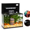 Marina 5 Gallon LED Aquarium Kit with Slim S20 Filter and LED Lighting-3