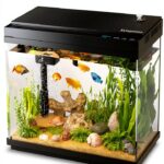 Fish Tank Smart Aquarium Kit Xyingshine 2.5Gal Smart Mist 7-Color LED-0
