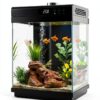 AQQA 3.7 Gallon Aquarium Starter Kit LED Light & 3‑in‑1 Filter Black-6