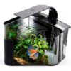 Fluval Betta Aquarium Kit 2.6 Gallon with LED and Advanced Filter-5