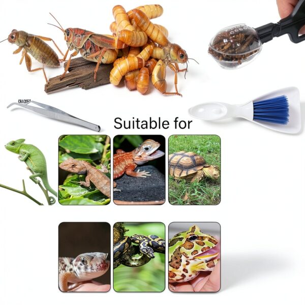 Tiny Cleanning Broom, Scooper Feeding Tool,Mini Dustpan and Brush, Stainless Steel Tweezer for Reptile and Other Small Animals Supplies House Bedding 3Pcs-6