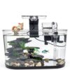 2.2 Gallon Fish Tank Kit HSIFMATE with LED Light and Quiet Filter-2
