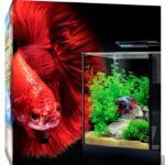 Fluval Betta Aquarium Kit 2.6 Gallon with LED and Advanced Filter-0