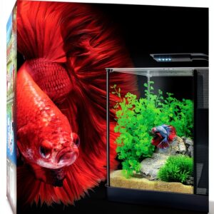 Fluval Betta Aquarium Kit 2.6 Gallon with LED and Advanced Filter-0