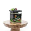 Betta Fish Tank 1.5 Gallon Kit with LED Light & Filter by ERAARK-1