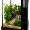 Fluval Betta Aquarium Kit 2.6 Gallon with LED and Advanced Filter-1