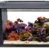 Fluval Evo XII Saltwater Aquarium Kit 13.5‑gal with LED Lighting-0