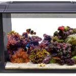 Fluval Evo XII Saltwater Aquarium Kit 13.5‑gal with LED Lighting-0