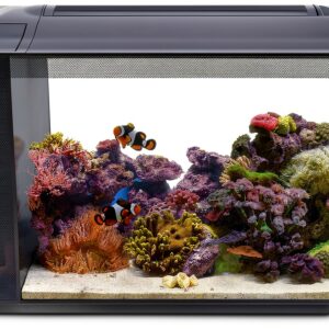 Fluval Evo XII Saltwater Aquarium Kit 13.5‑gal with LED Lighting-0