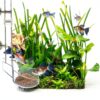 Shrimp Feeder Tube by Niuohoy Adjustable Height Anti Scattering Set-6
