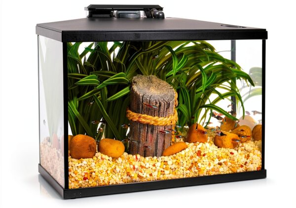 Marina 5 Gallon LED Aquarium Kit with Slim S20 Filter and LED Lighting-0