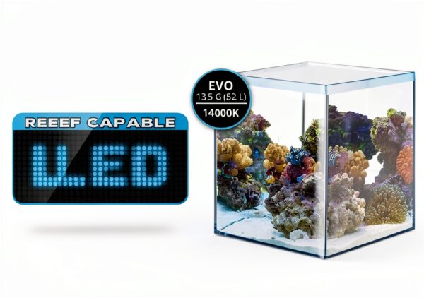 Fluval Evo XII Saltwater Aquarium Kit 13.5‑gal with LED Lighting-2