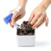 Tiny Cleanning Broom, Scooper Feeding Tool,Mini Dustpan and Brush, Stainless Steel Tweezer for Reptile and Other Small Animals Supplies House Bedding 3Pcs-4