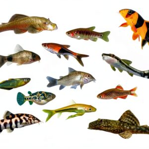 Swimming Creatures 5 PCS Assorted Tropical Fish Freshwater Aquarium-0