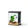 Betta Fish Tank Pronetcus 2 Gallon Glass Aquarium Starter Kit Black-2