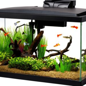 Aqueon Aquarium Fish Tank Starter Kit 10 Gallon with LED Lighting-0