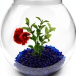 Newpol Mini Plastic Aquarium Starter Kit 0.8 Gallon Fish Tank-0