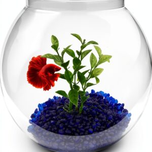 Newpol Mini Plastic Aquarium Starter Kit 0.8 Gallon Fish Tank-0