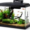 Aqueon Aquarium Fish Tank Starter Kit 10 Gallon with LED Lighting-9