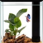 Betta Fish Tank Pronetcus 2 Gallon Glass Aquarium Starter Kit Black-0