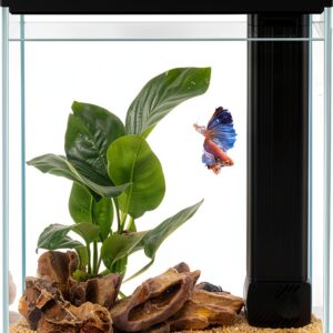 Betta Fish Tank Pronetcus 2 Gallon Glass Aquarium Starter Kit Black-0