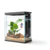 Betta Fish Tank Pronetcus 2 Gallon Glass Aquarium Starter Kit Black-1