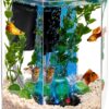 Tetra Bubbling LED Aquarium Kit 1 Gallon, Hexagon Shape, With Color-Changing Light Disc-1