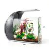 5 Gallon Fish Tank CB Star Arc-Shaped Glass Kit with LED Lights-5