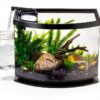Aqueon LED MiniBow Small Aquarium Fish Tank Kit with SmartClean Technology, Black, 5 Gallon-5