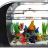 5 Gallon Fish Tank CB Star Arc-Shaped Glass Kit with LED Lights-0