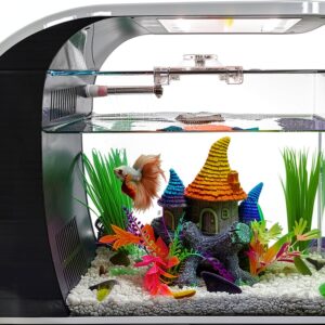 5 Gallon Fish Tank CB Star Arc-Shaped Glass Kit with LED Lights-0
