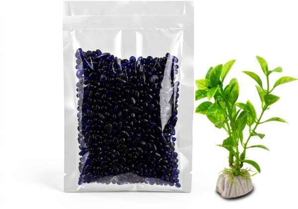 Newpol Mini Plastic Aquarium Starter Kit 0.8 Gallon Fish Tank-3