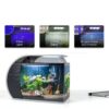 5 Gallon Fish Tank CB Star Arc-Shaped Glass Kit with LED Lights-3