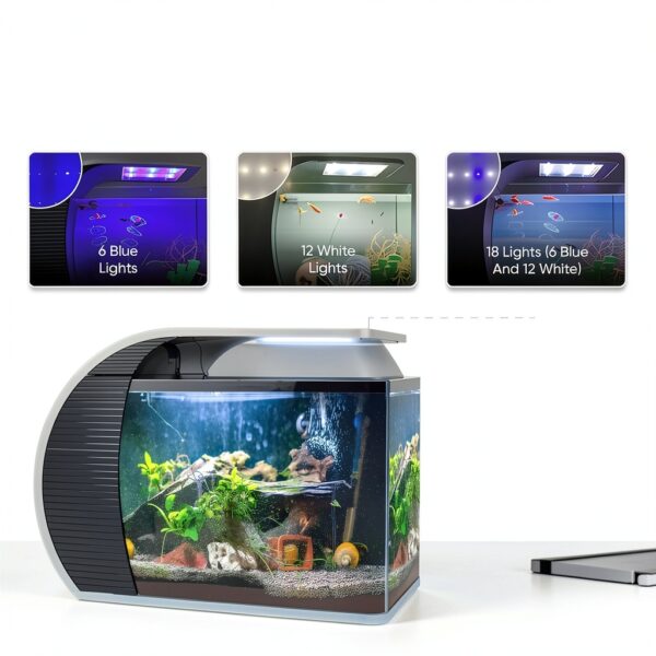 5 Gallon Fish Tank CB Star Arc-Shaped Glass Kit with LED Lights-3